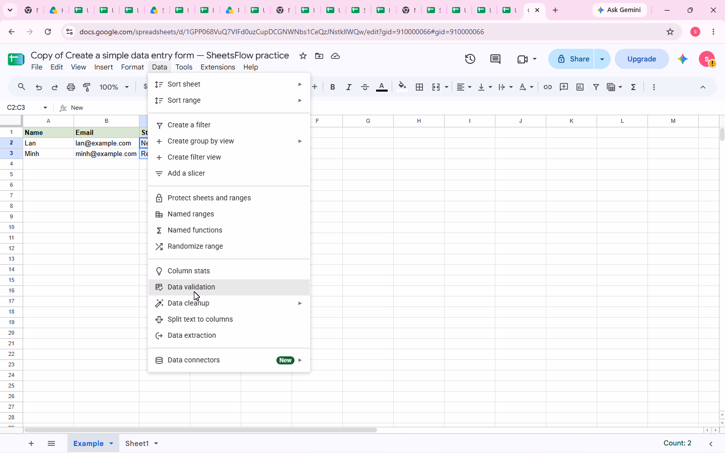 The Data menu is open with the pointer on Data validation while C2:C3 is selected.