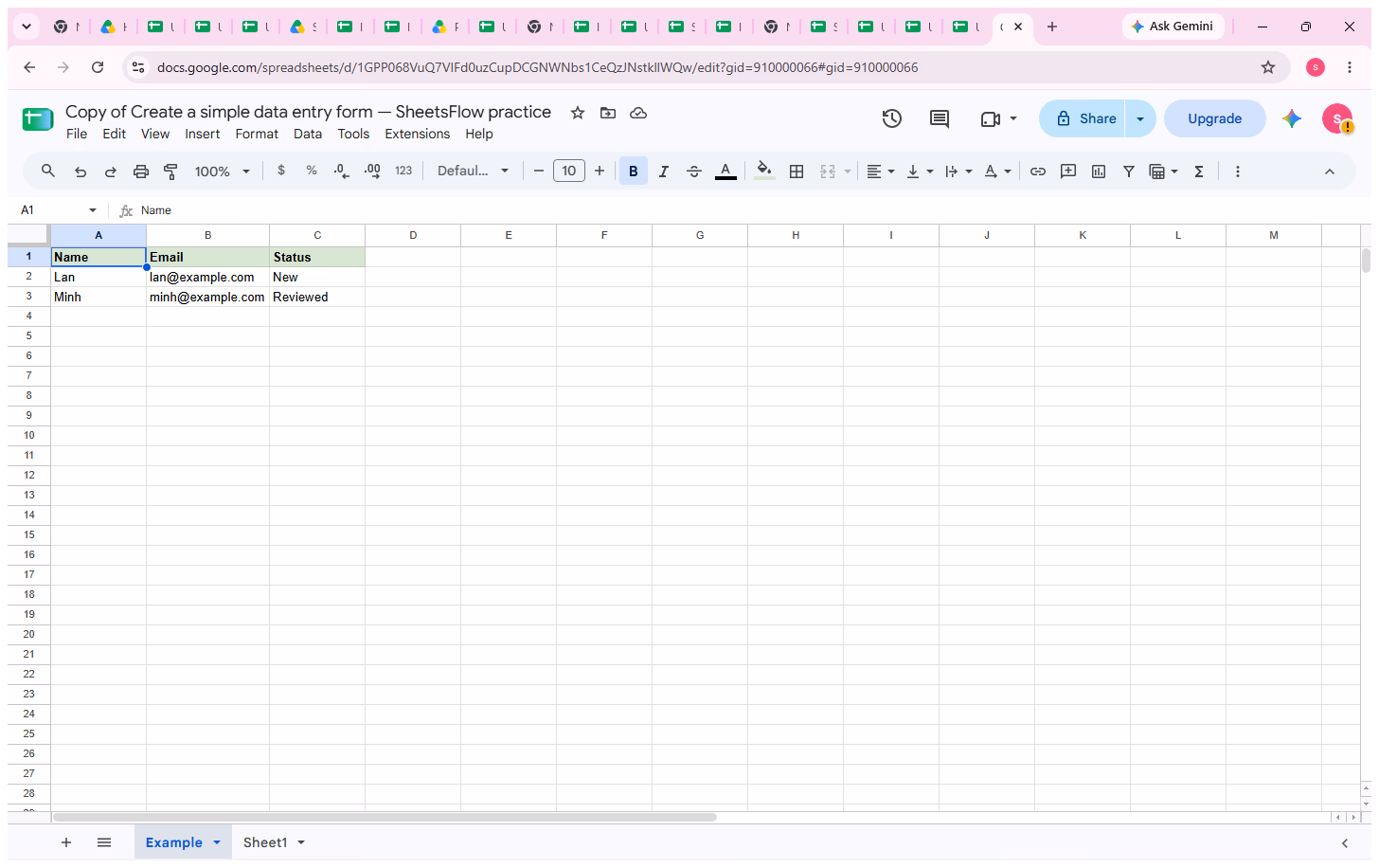 The _result workbook shows the full Name, Email, and Status sample with readable values before adding validation.