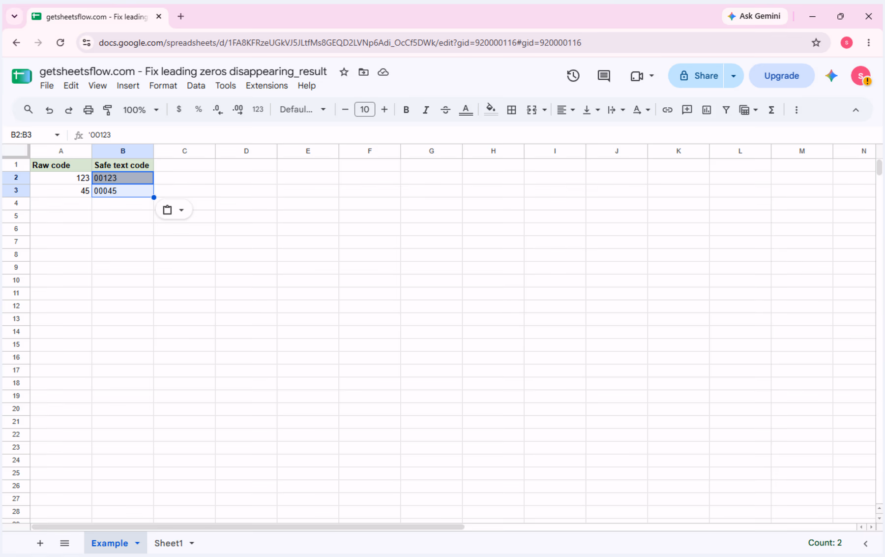 Google Sheets after entering the safe text identifiers with a leading apostrophe so 00123 and 00045 remain visible.