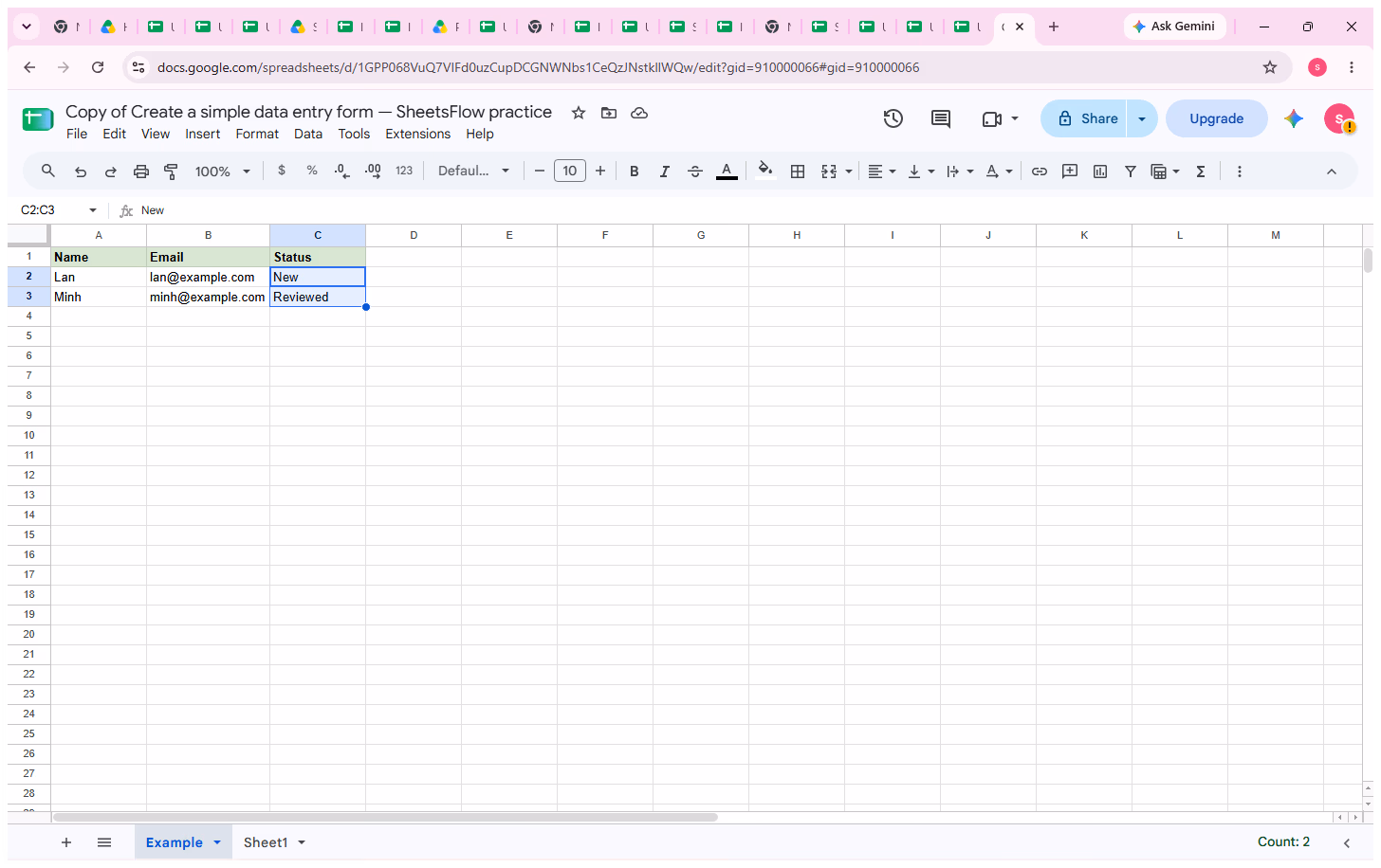 Cells C2:C3 in the Status column are selected while the Status header in C1 remains outside the selection.