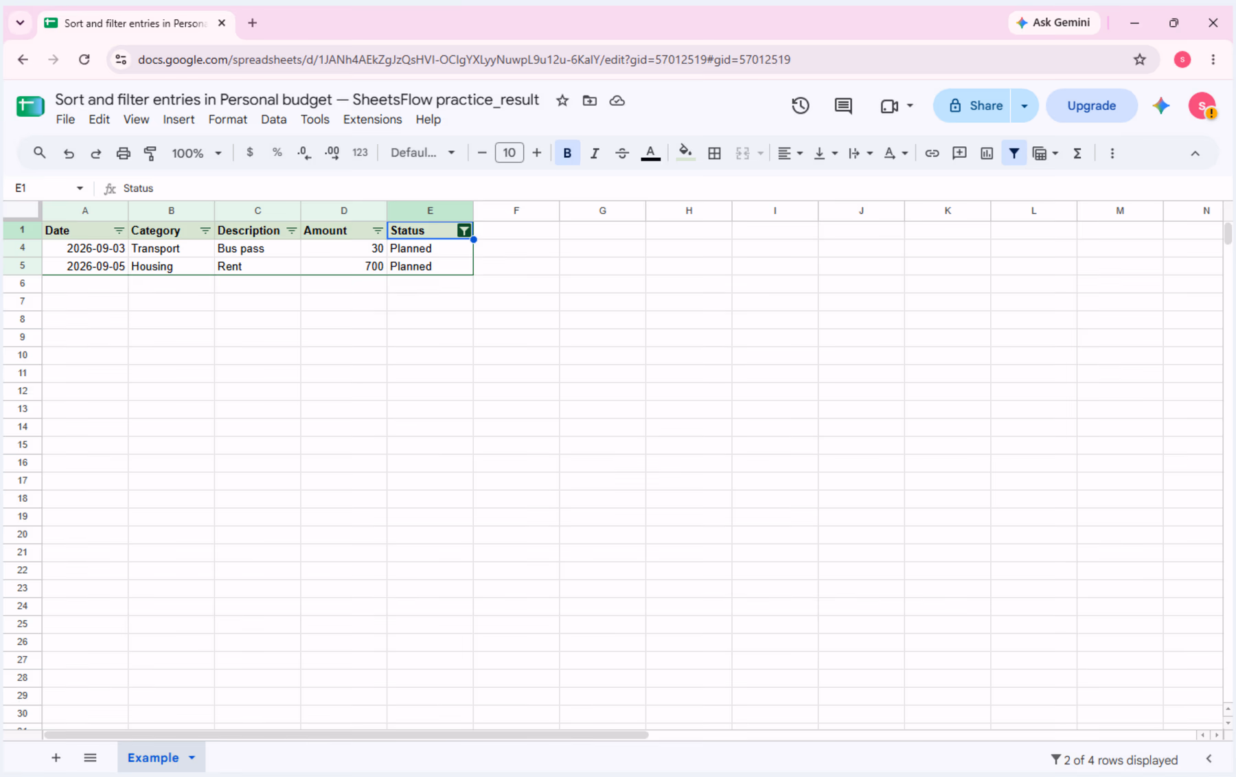 After applying Status = Planned, only the Transport and Housing rows remain visible; Posted rows are hidden.